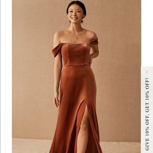 NWT - Jenny Yoo collection Issa Velvet dress in English Rose